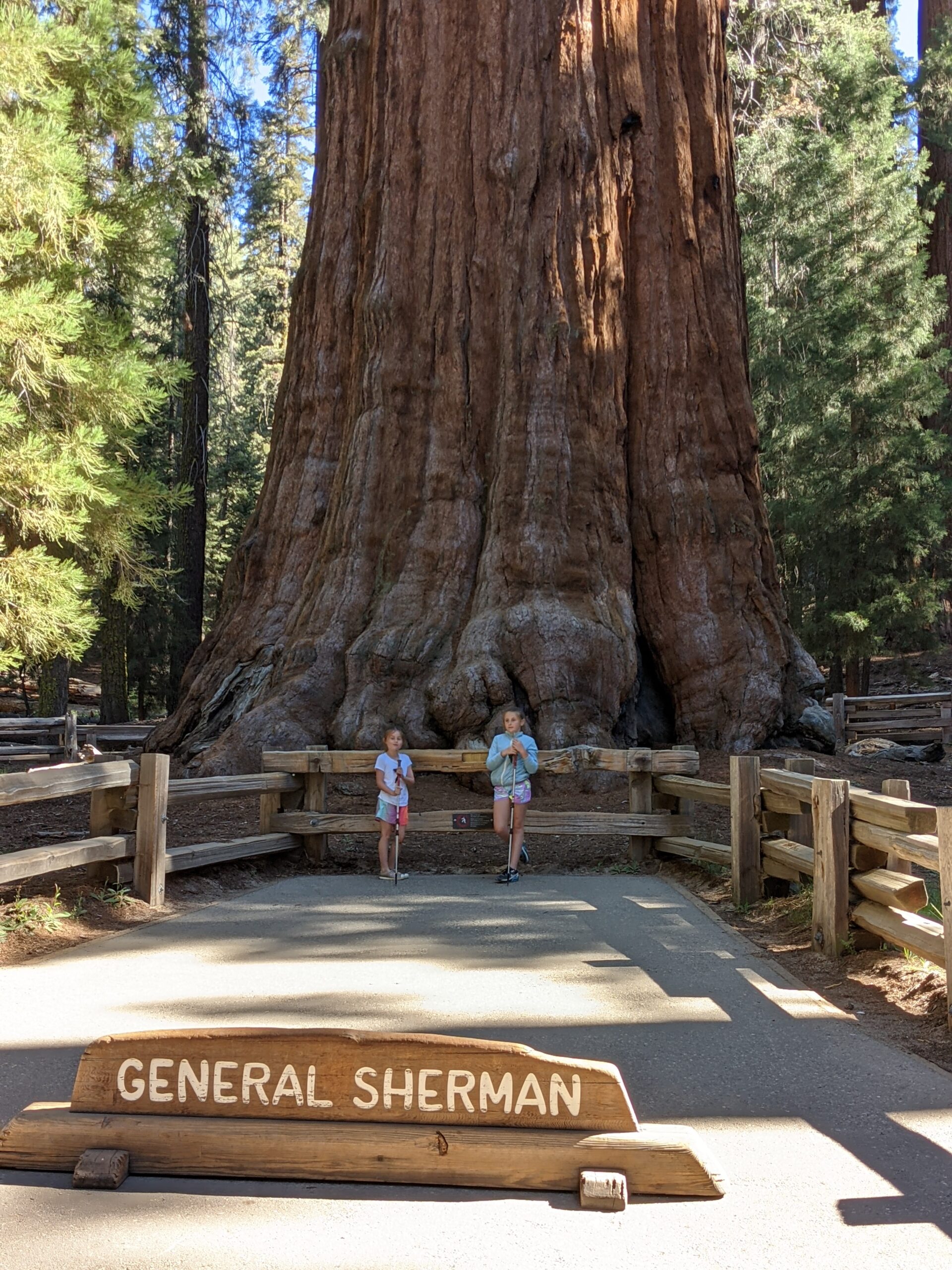 Day 9 – Sequoia and Sonora Pass