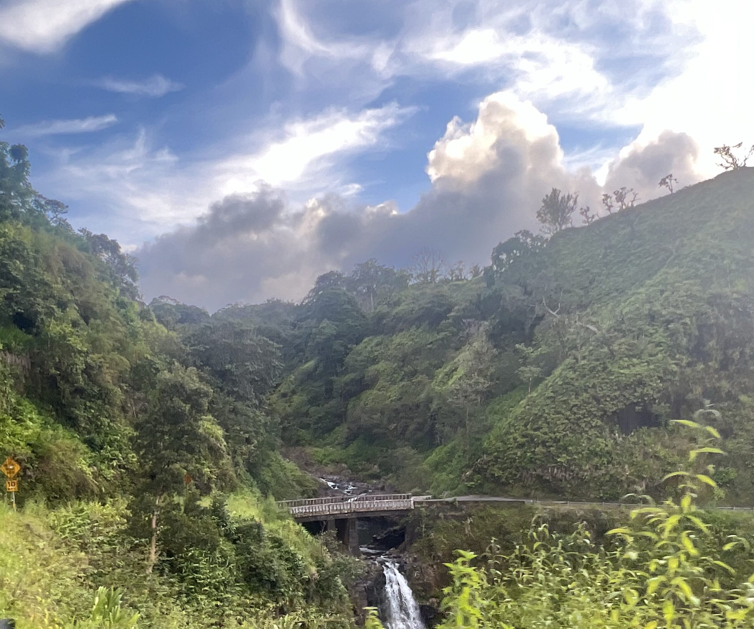 Hawaii 13 – Road to Hana